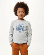 crewneck произведение на изкуството пуловер меле сиво момчета X4BJ4929 Mexx